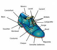 Bien choisir ses chaussures : les différents critères à prendre en compte