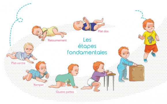 étapes fondamentales développement enfant